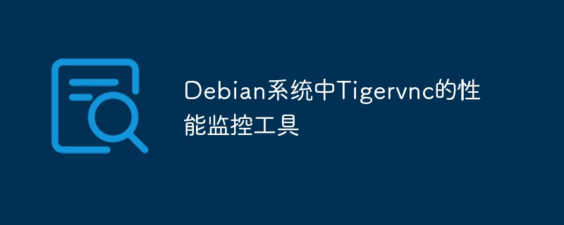 Debian系统Tigervnc性能监控工具推荐
