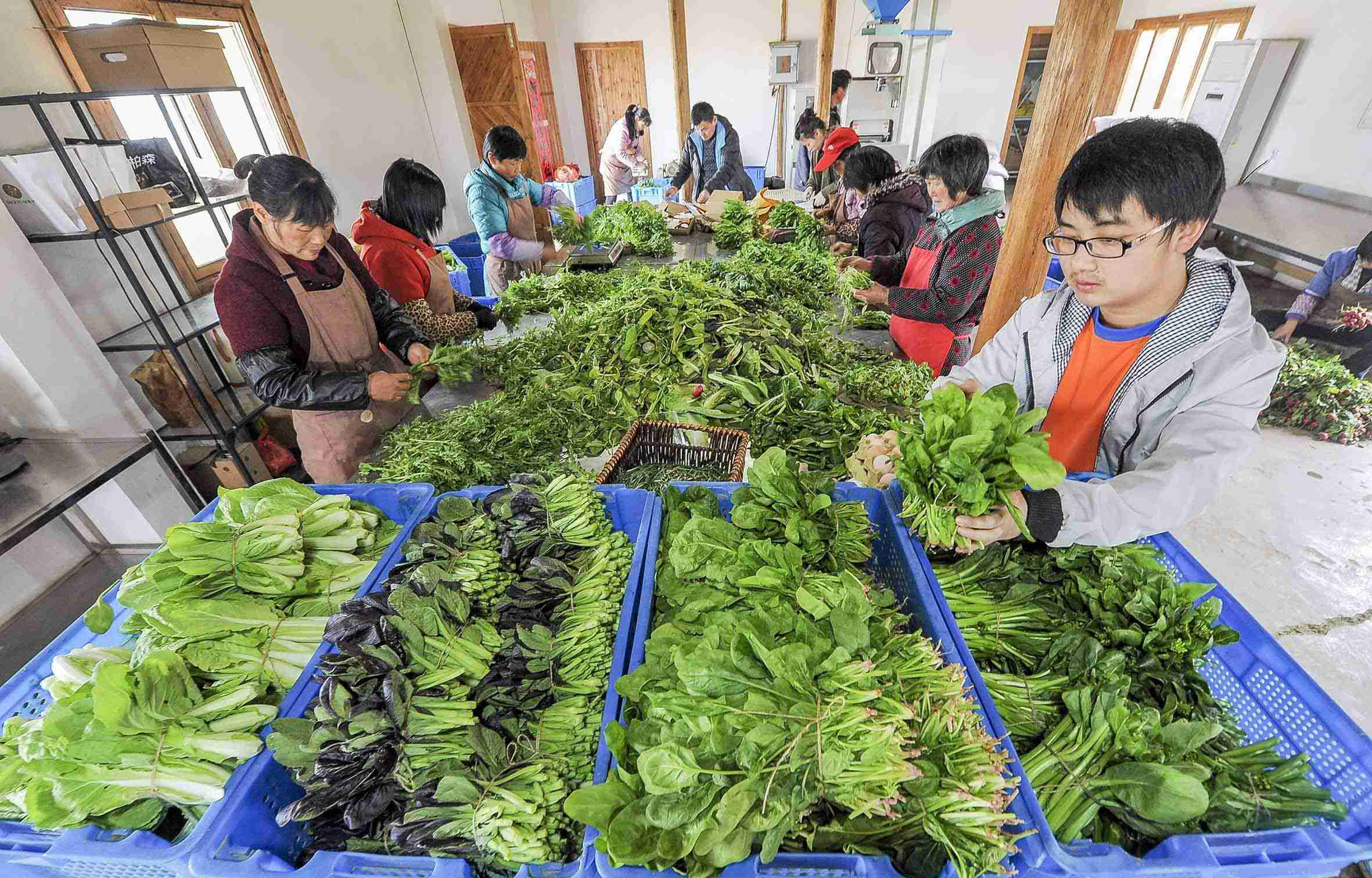 教你0技术10分钟快速开发生鲜送菜app，成本节省90%