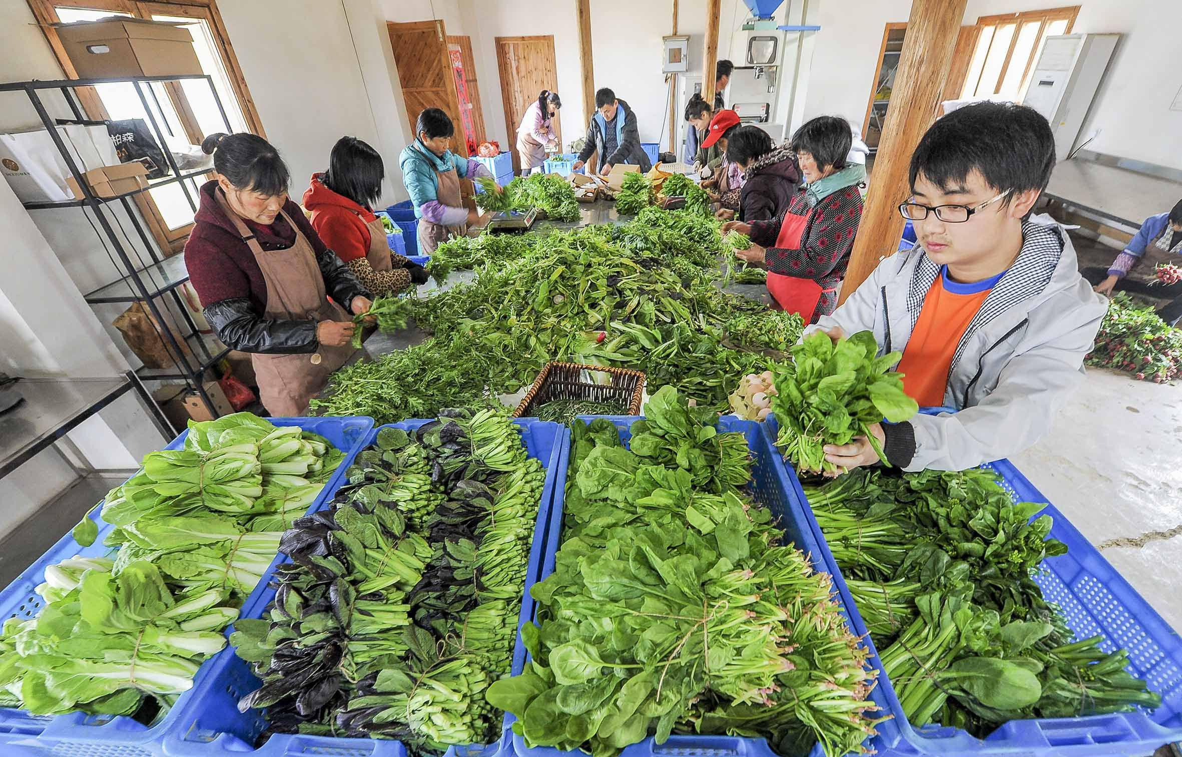 0技术10分钟开发送菜app，成本节省90%