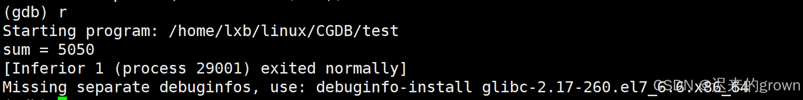 深入了解Linux —— 调试程序