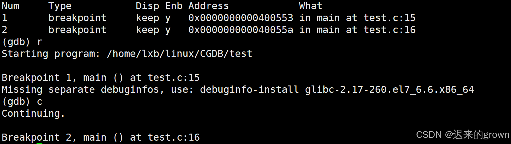 深入了解Linux —— 调试程序