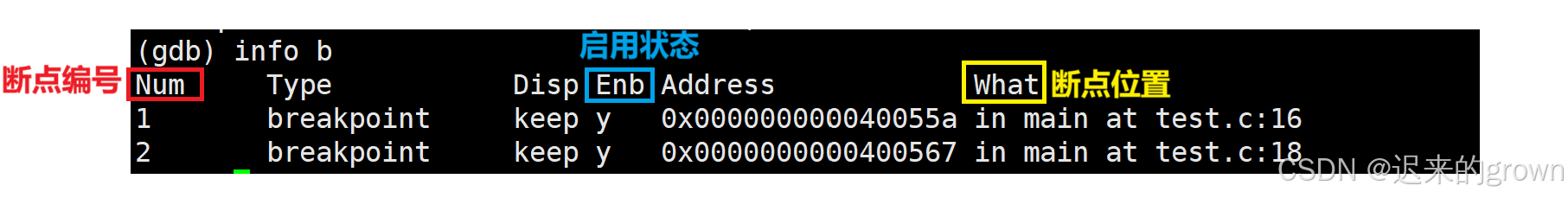 深入了解Linux —— 调试程序