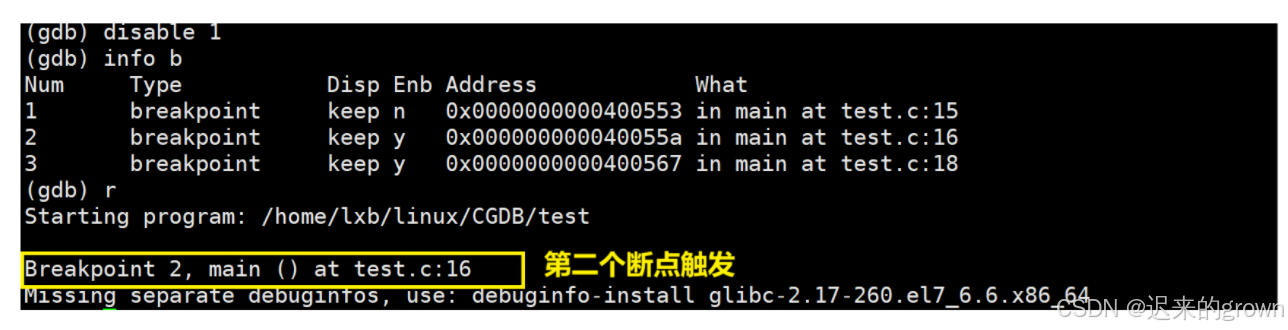 深入了解Linux —— 调试程序