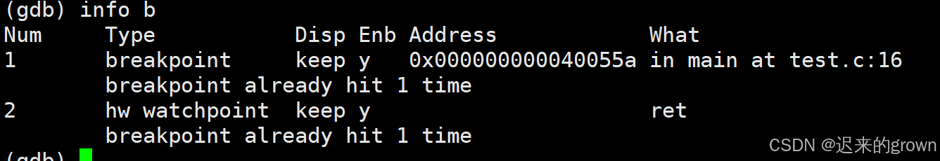 深入了解Linux —— 调试程序
