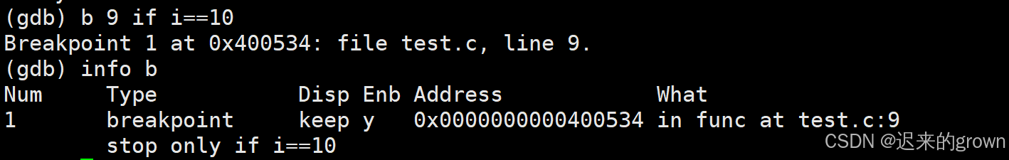 深入了解Linux —— 调试程序