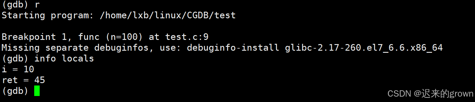 深入了解Linux —— 调试程序