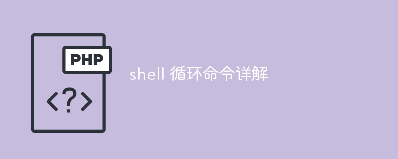 shell循环命令详解与实用技巧
