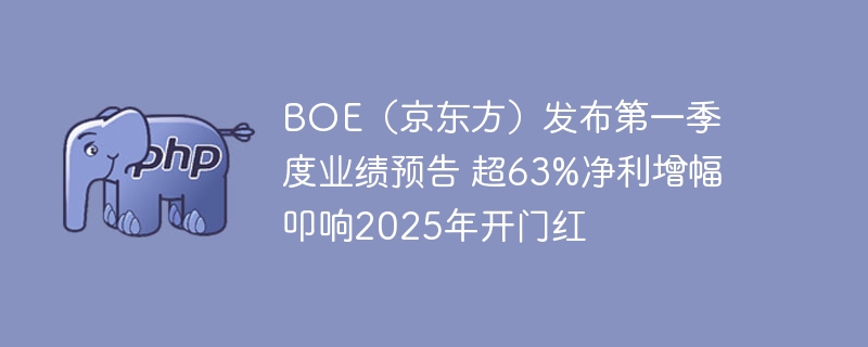 BOE京东方Q1净利增63%，2025开门红