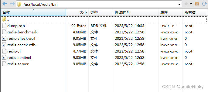 Linux安装部署Redis6.2.5图文教程