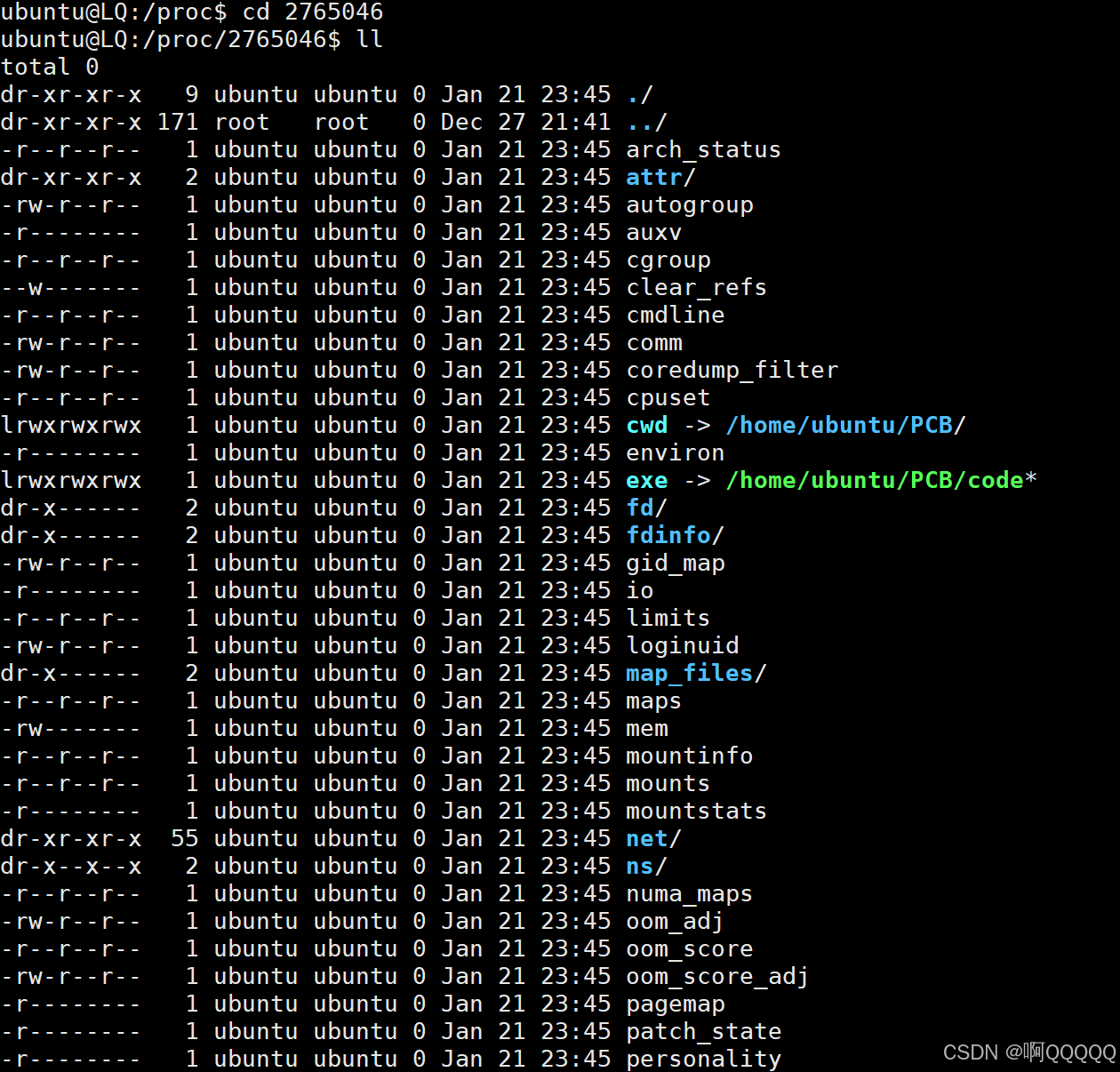 Linux系统编程:理解进程/进程管理