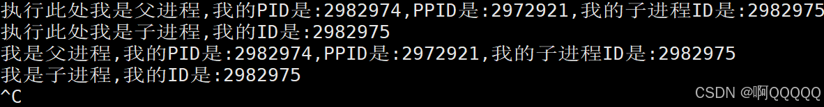 Linux系统编程:理解进程/进程管理