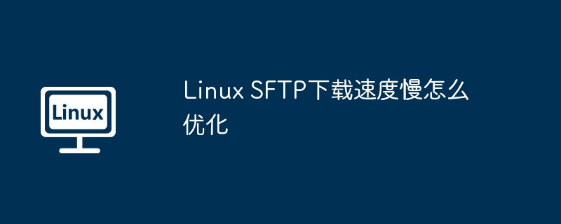 LinuxSFTP下载慢？终极优化指南