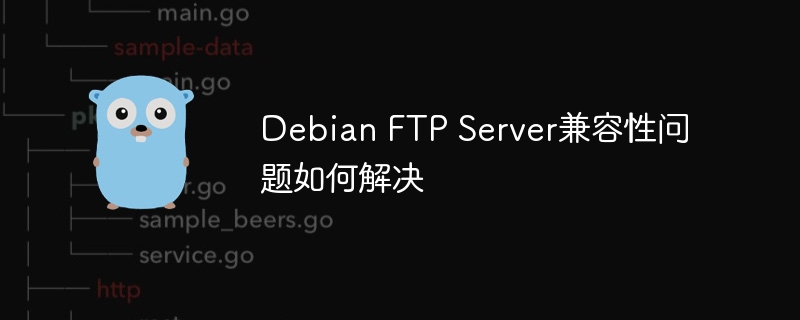 DebianFTPServer兼容性问题终极解决方案