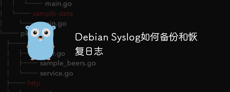 DebianSyslog日志备份与恢复攻略