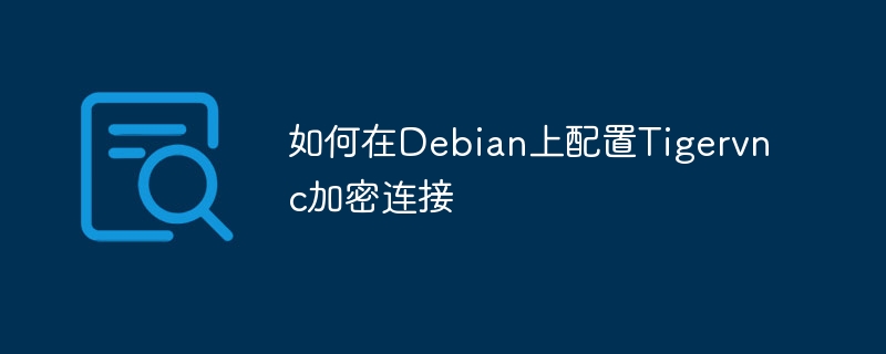 Debian上Tigervnc加密连接配置详解