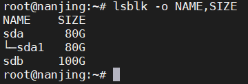 如何检查Linux硬盘大小、类型和硬件详细信息？