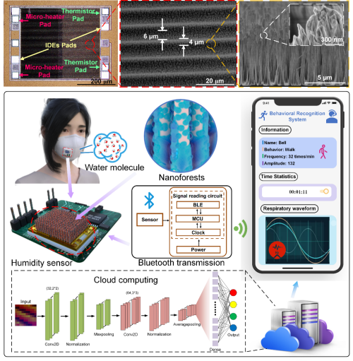 中国科学院纳米森林传感器应用研究获进展