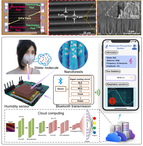 中国科学院纳米森林传感器应用研究新突破