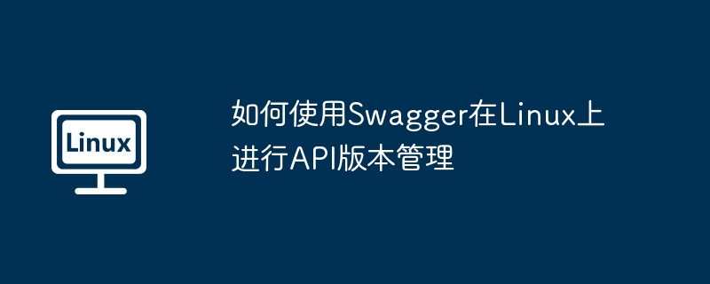 如何使用Swagger在Linux上进行API版本管理
