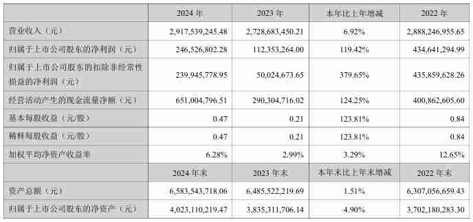 飞凯材料2024年营收29.18亿元,净利润同比增长119.42%