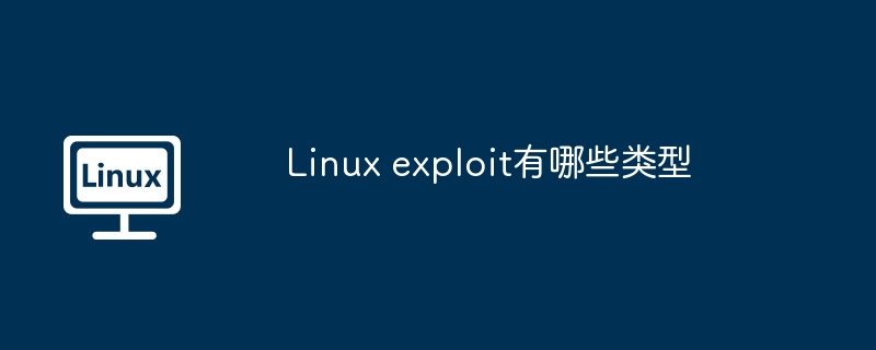 Linux exploit有哪些类型