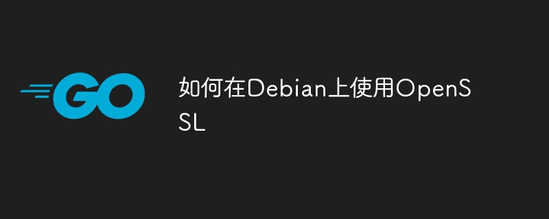 如何在Debian上使用OpenSSL
