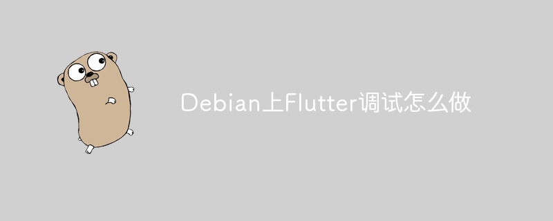 Debian上Flutter调试技巧与步骤详解