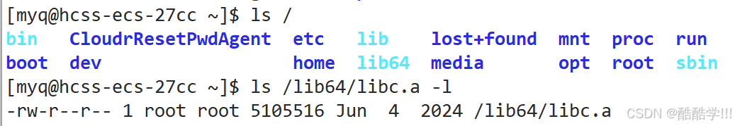 Linux软硬链接与动静态库