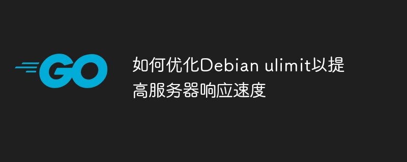Debianulimit优化技巧，提升服务器响应