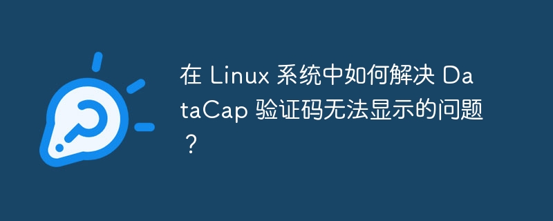 在 Linux 系统中如何解决 DataCap 验证码无法显示的问题?