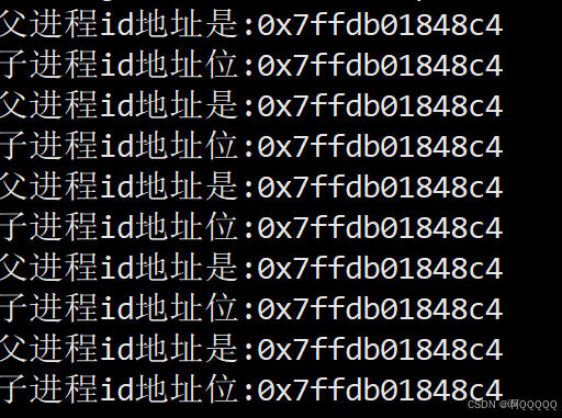 Linux系统编程:进程地址空间
