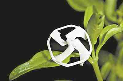 可控飞行的最小无线机器人问世