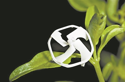 最小可控飞行无线机器人震撼亮相