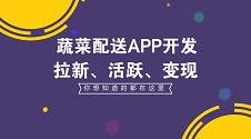 蔬菜配送APP开发攻略，同城配送秘籍