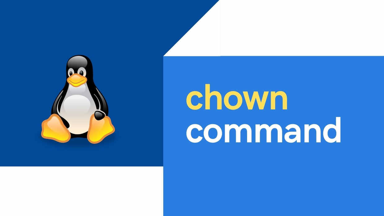 Linux文件目录所有权修改：chown与chgrp命令