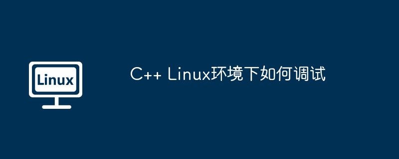 C++ Linux环境下如何调试