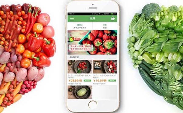 农村电商生鲜APP开发费用与免编程模板一键套用