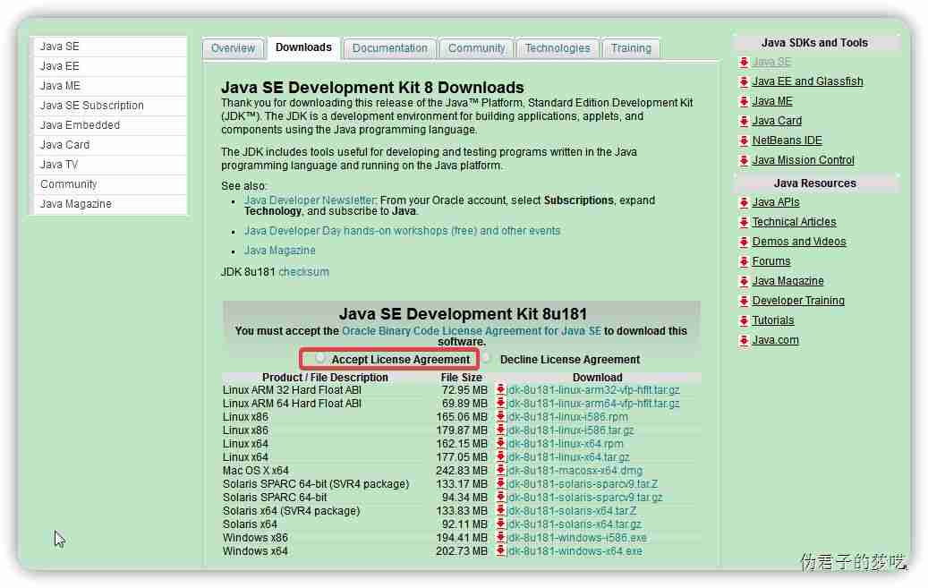 安装和配置 Java 环境