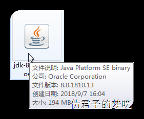 安装和配置 Java 环境