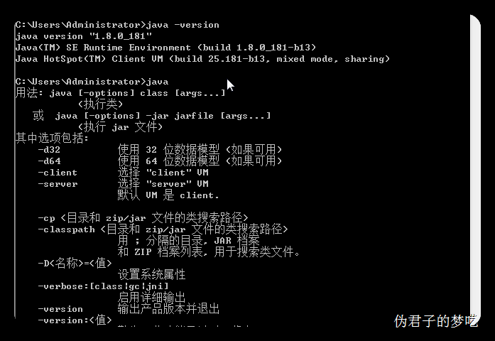 安装和配置 Java 环境