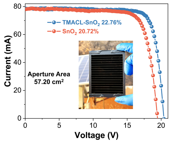 中国科学院在分子胶水界面锚定技术取得进展