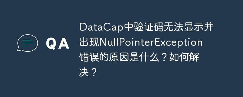 DataCap中验证码无法显示并出现NullPointerException错误的原因是什么？如何解决？