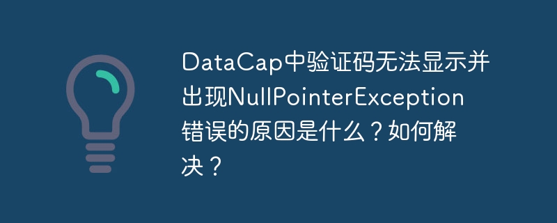 DataCap验证码NullPointerException错误原因及解决方案