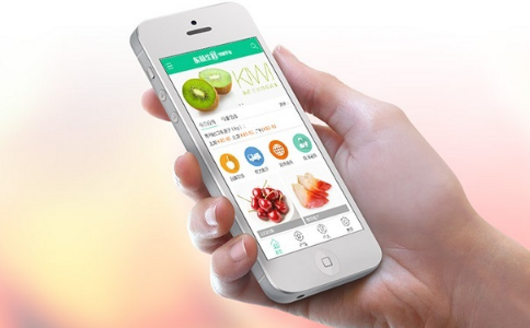 小区蔬菜配送app开发费用与启动攻略