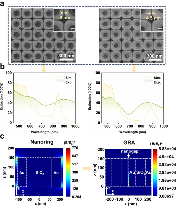 上海交通大学在Advanced Functional Materials发表集成纳米间隙的纳米环光学天线晶圆级制造新进展