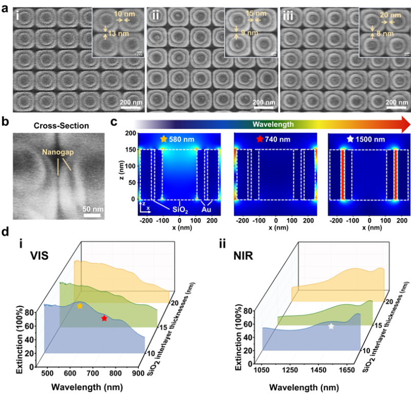 上海交通大学在Advanced Functional Materials发表集成纳米间隙的纳米环光学天线晶圆级制造新进展