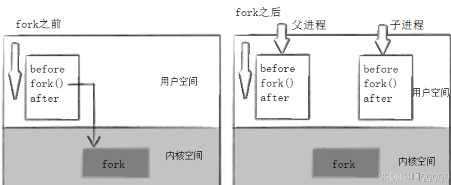 Linux进程控制详解：创建终止与等待