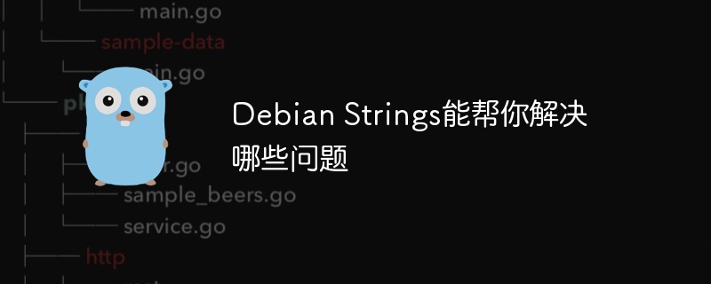 DebianStrings助你搞定系统优化与故障