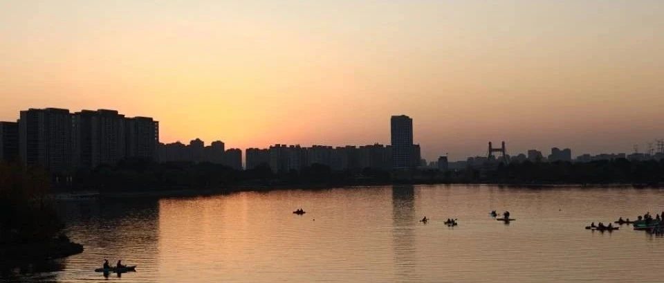 GiteaWindows版安装后恢复仓库方法