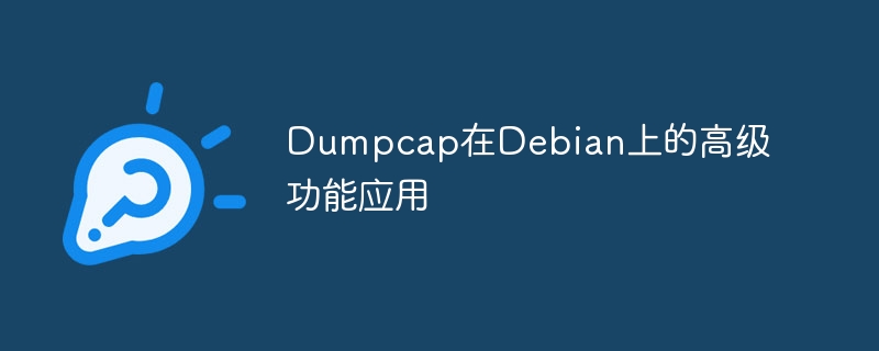 Dumpcap在Debian上的高级功能深度解析